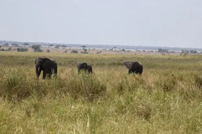 DSC_3614 (Large).JPG